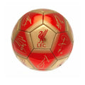 Red-Gold - Back - Liverpool FC Signature Skill Ball