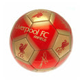 Red-Gold - Side - Liverpool FC Signature Skill Ball