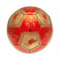 Red-Gold - Lifestyle - Liverpool FC Signature Skill Ball
