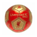 Red-Gold - Front - Liverpool FC Signature Skill Ball