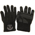 Grey - Side - Everton FC Unisex Kids Luxury Touchscreen Gloves