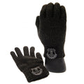 Grey - Front - Everton FC Unisex Kids Luxury Touchscreen Gloves