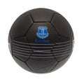 Black - Back - Everton FC Skill Ball