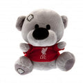 Grey-Red - Front - Liverpool FC Timmy Bear Plush Toy