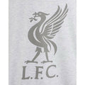 Ice Grey Marl - Lifestyle - Liverpool FC Womens-Ladies Liver Bird T-Shirt