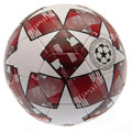 White-Red - Back - UEFA Champions League Star Football