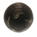 Black-Gold - Back - Liverpool FC Phantom Signature Football