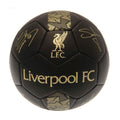 Matt Black-Gold - Front - Liverpool FC Phantom Signature Football