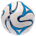 White-Blue-Navy - Back - Tottenham Hotspur FC Cosmos Football