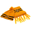 Yellow-Black - Front - Harry Potter Childrens-Kids Hufflepuff Crest Hat And Scarf Set
