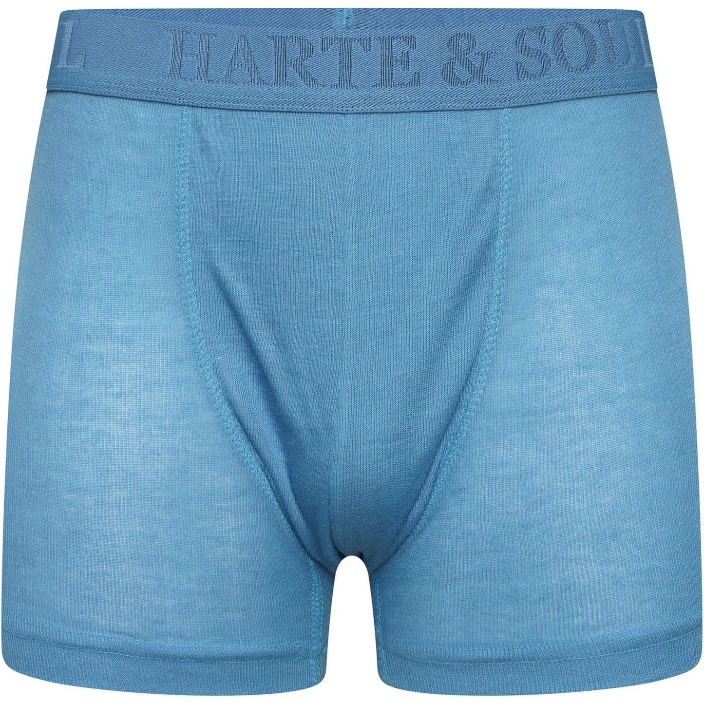 Multicoloured - Lifestyle - Harte & Soul Mens Plain Bamboo Boxer Shorts (Pack of 12)