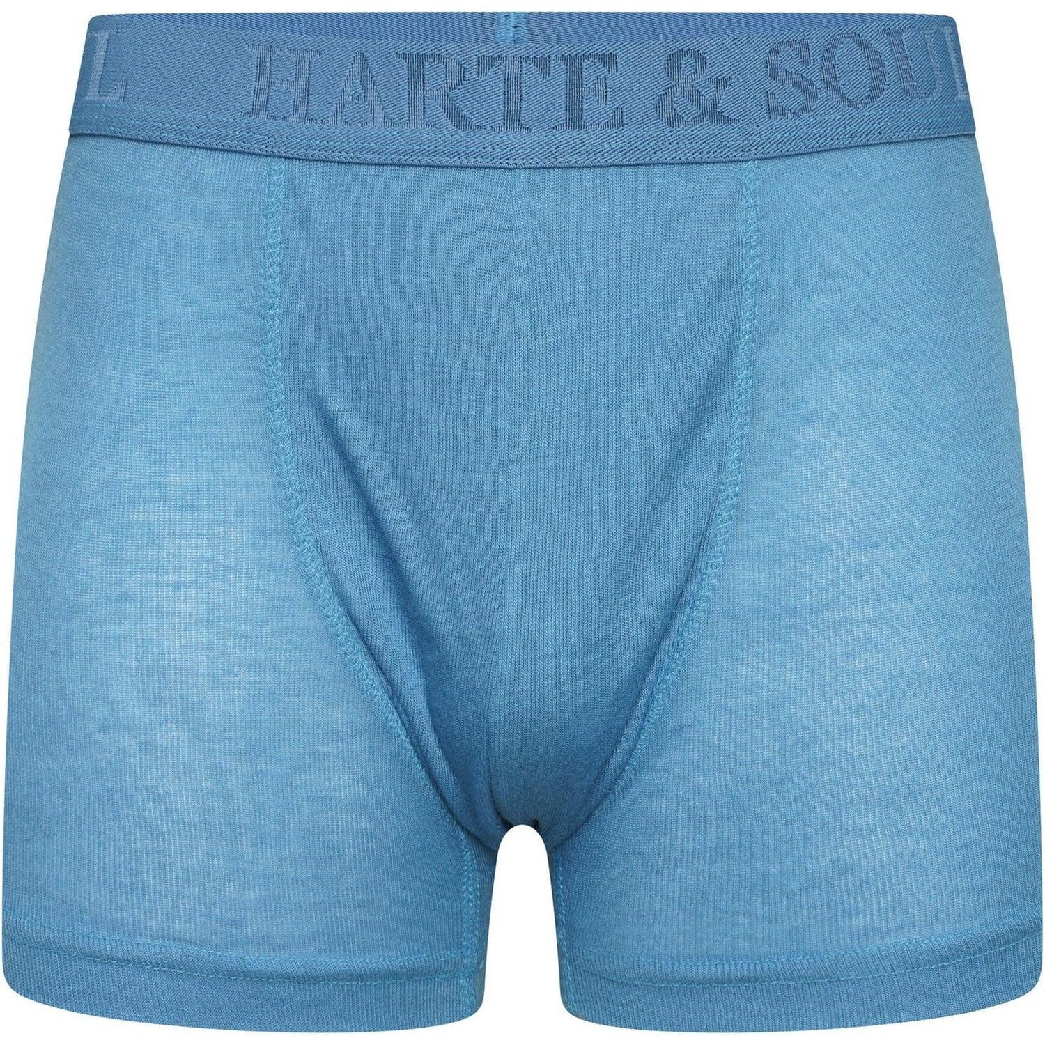 Multicoloured - Lifestyle - Harte & Soul Mens Plain Bamboo Boxer Shorts (Pack of 12)