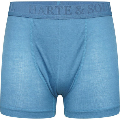 Multicoloured - Lifestyle - Harte & Soul Mens Plain Bamboo Boxer Shorts (Pack of 12)