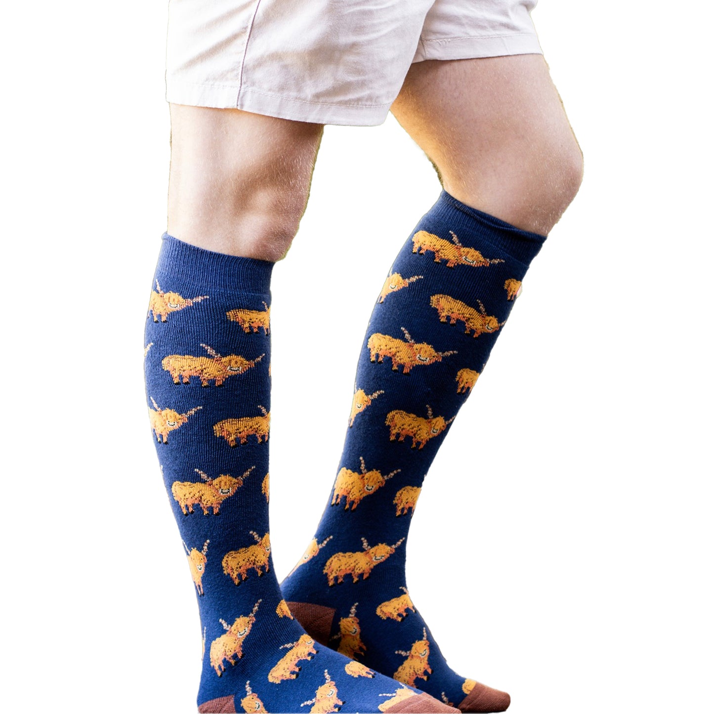 Multicoloured - Back - Bartleby Mens Hardy Highland Socks
