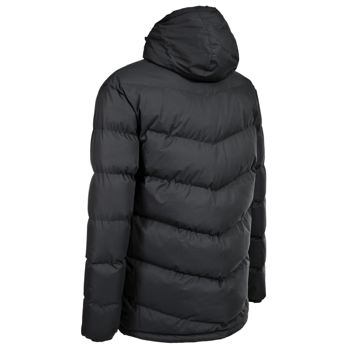 Black - Back - Trespass Mens Blustery Padded Jacket