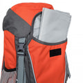 Carrot - Pack Shot - Trespass Childrens-Kids Buzzard Backpack-Rucksack (18 Litre)