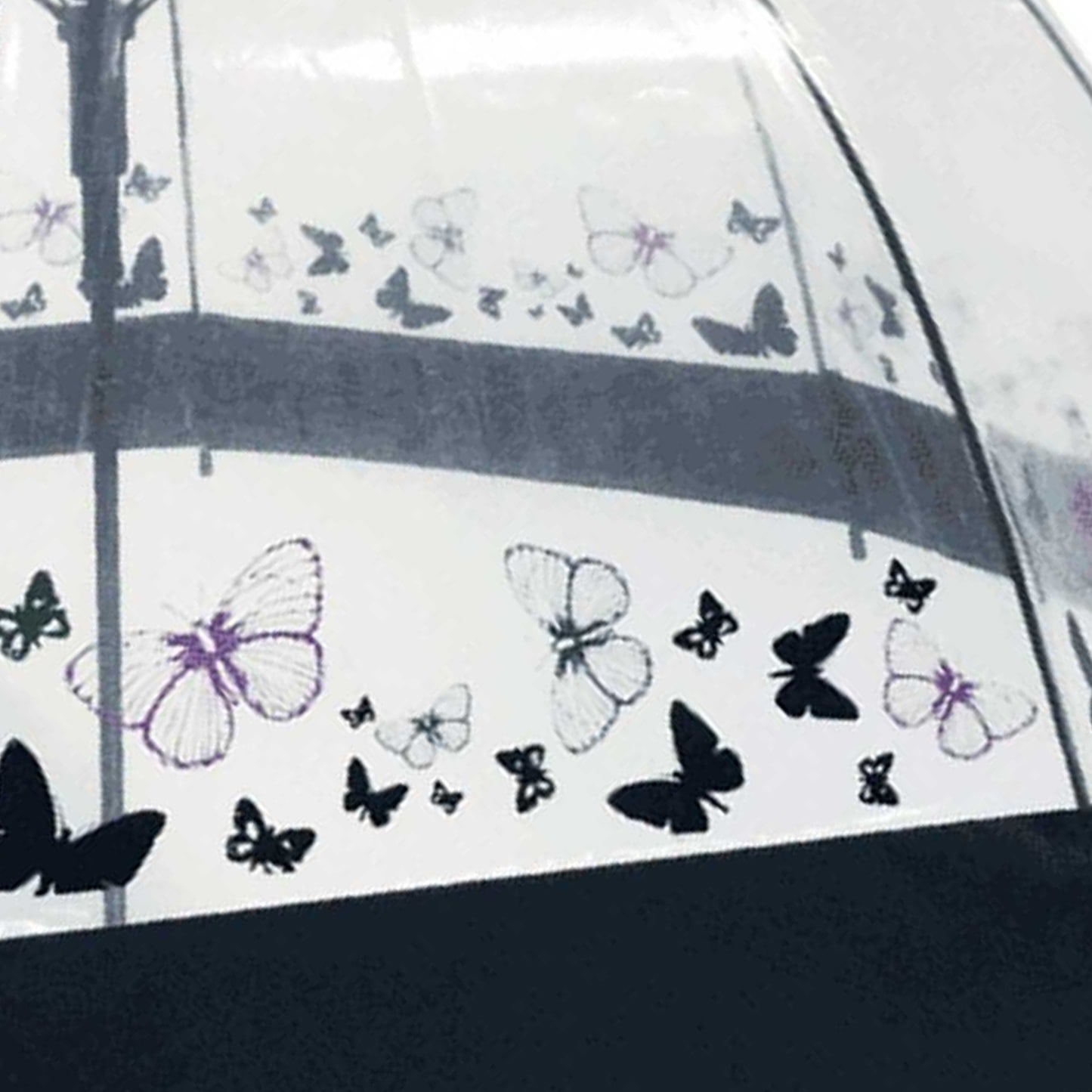 Butterfly Print - Pack Shot - Trespass Papillon Clear Umbrella