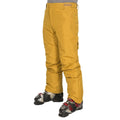 Golden Brown - Back - Trespass Mens Roscrea Ski Trousers