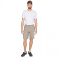 Oatmeal Check - Back - Trespass Mens Miner Travel Shorts