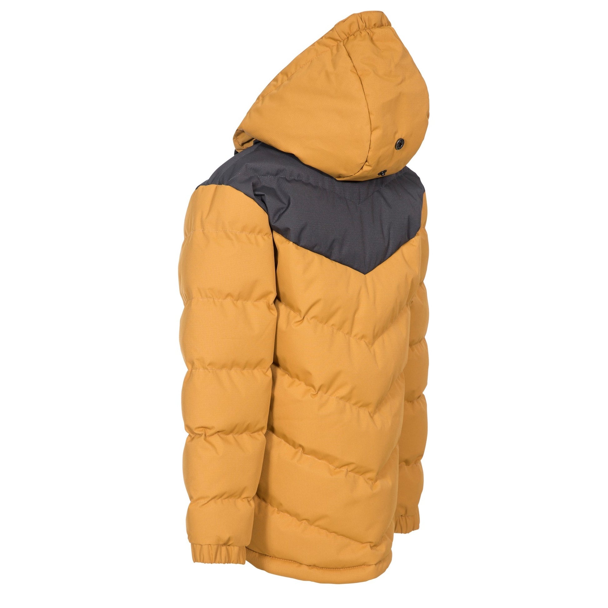 Sandstone - Back - Trespass Childrens Boys Luddi Waterproof Jacket