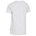 Grey Marl - Back - Trespass Childrens Boys Awestruck Short Sleeve T-Shirt
