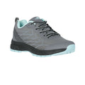 Grey - Front - Trespass Womens-Ladies Beatrix Active Trainers