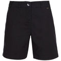 Black - Front - Trespass Womens-Ladies Scenario Hiking Shorts