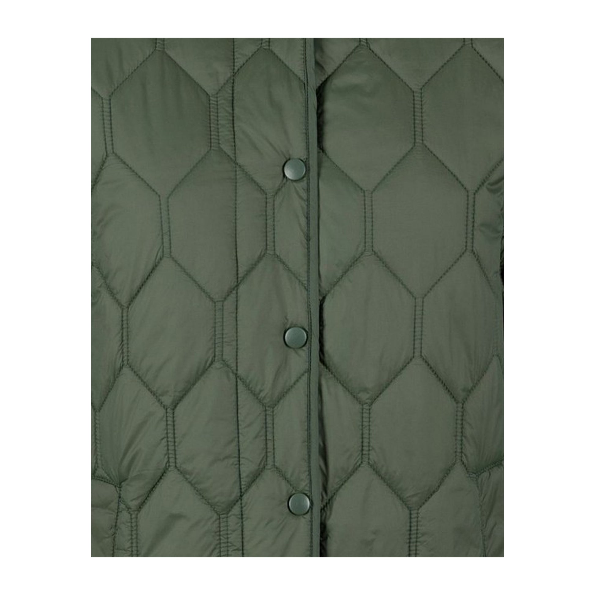 Moss - Side - Trespass Womens-Ladies Phase Padded Jacket