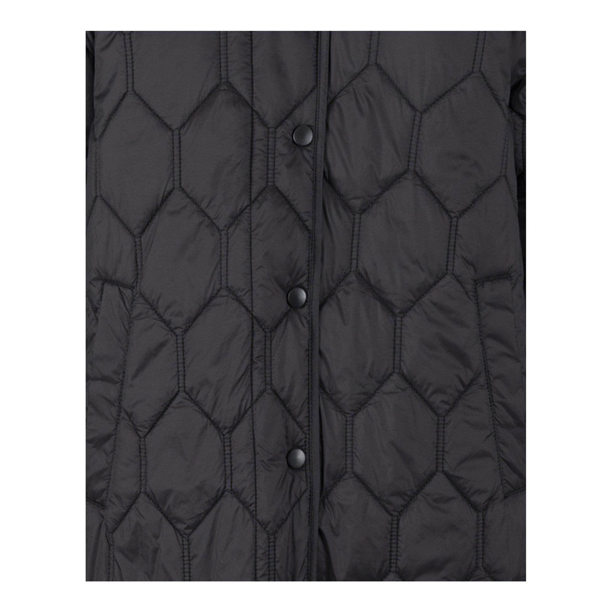 Black - Lifestyle - Trespass Womens-Ladies Phase Padded Jacket