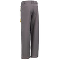 Storm Grey-Yellow Sulphur - Back - Trespass Childrens-Kids Hurry Hiking Trousers