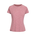 Light Mulberry Marl - Front - Trespass Womens-Ladies Katie DLX Marl T-Shirt