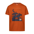 Burnt Orange - Front - Trespass Mens Sagnay T-Shirt