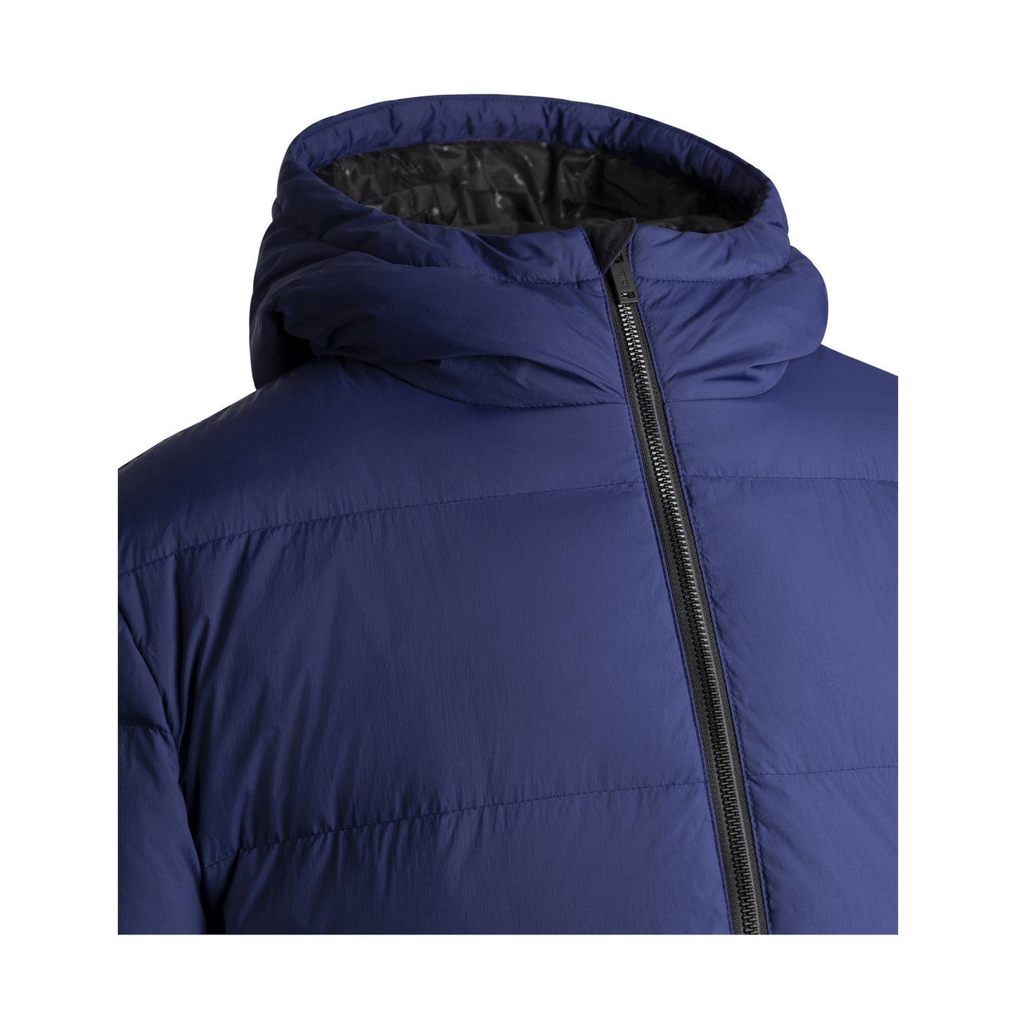Blueprint - Lifestyle - Trespass Mens Sergei DLX Down Jacket