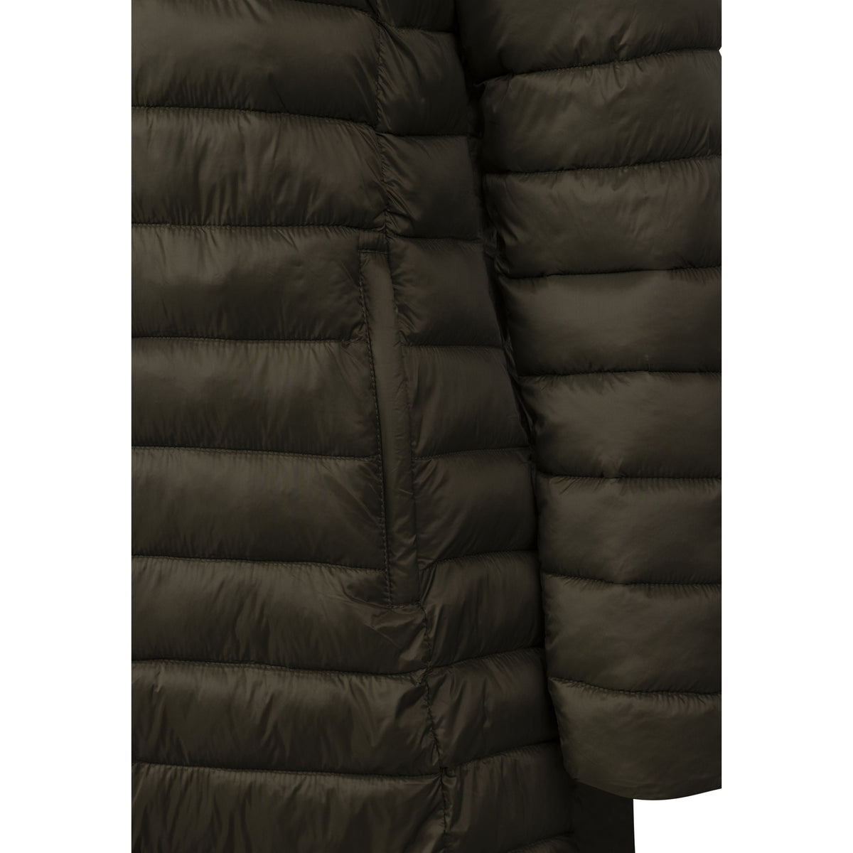 Dark Vine - Lifestyle - Trespass Womens-Ladies Dorothea Padded Jacket