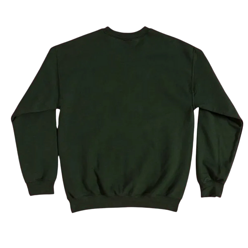 Green - Back - Wicked Unisex Adult Shiz University Sweatshirt