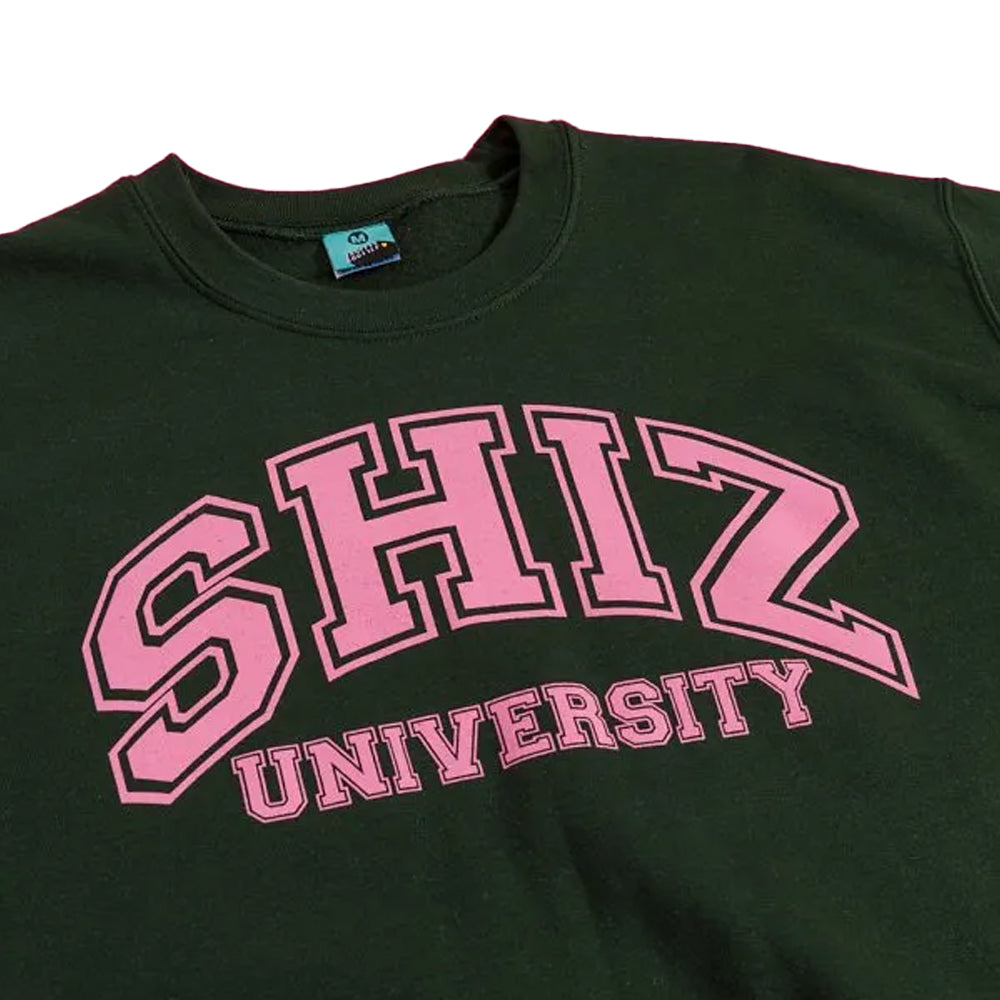 Green - Side - Wicked Unisex Adult Shiz University Sweatshirt