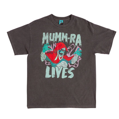Black - Front - Thundercats Unisex Adult Mumm-Ra Lives Vintage Wash T-Shirt