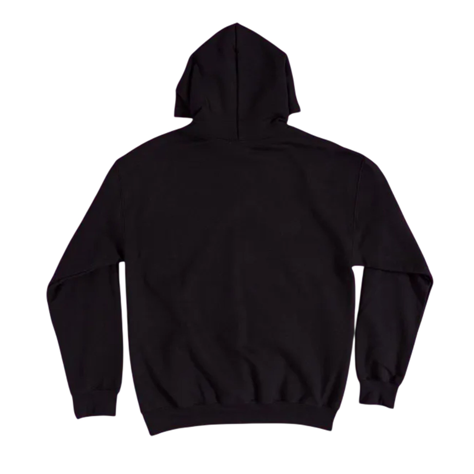 Black - Back - Thundercats Unisex Adult Mumm-Ra Lives Hoodie
