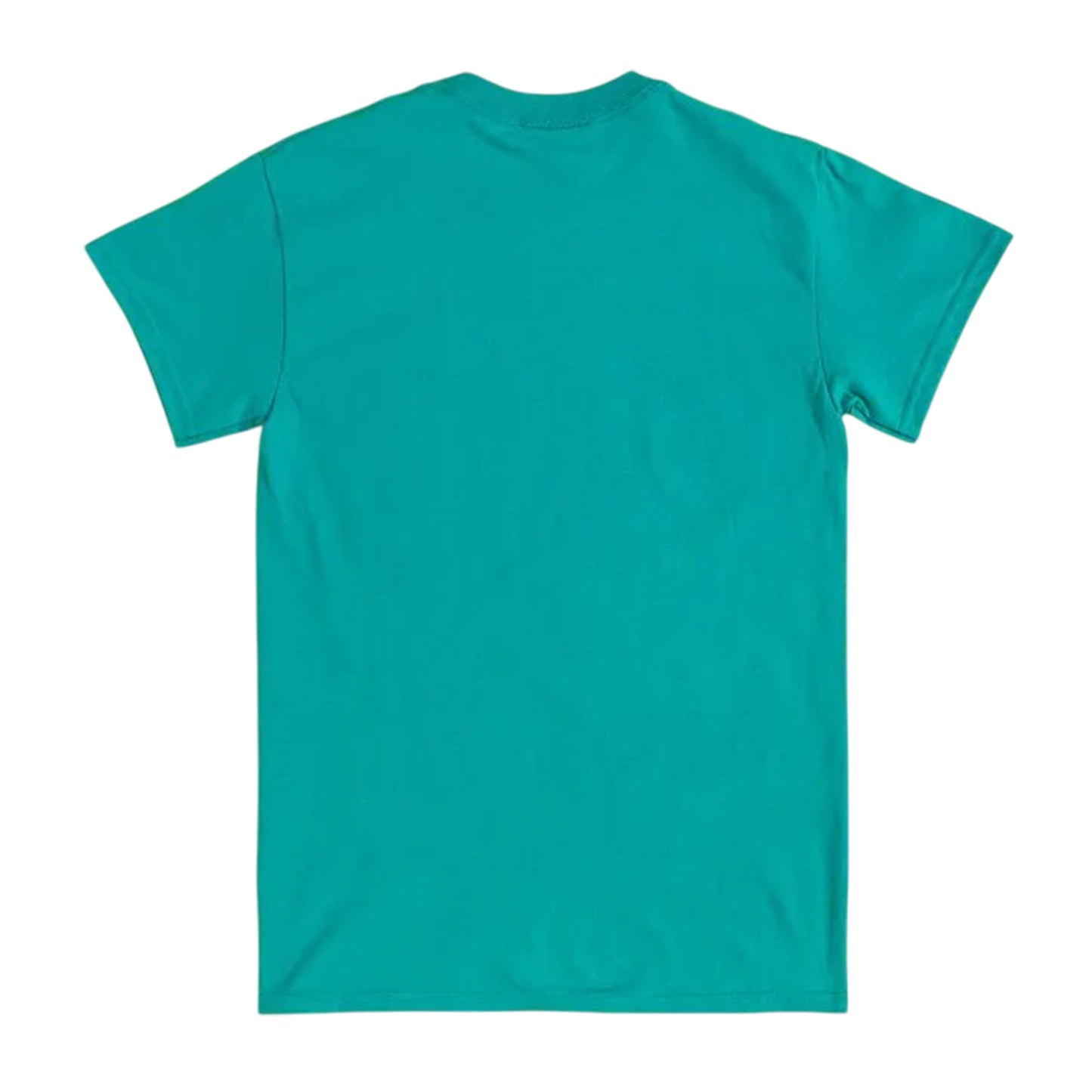 Green - Back - Care Bears Unisex Adult Movie Poster T-Shirt
