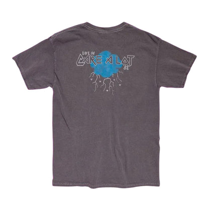 Charcoal - Back - Care Bears Unisex Adult Get Over It Tour Vintage Wash T-Shirt
