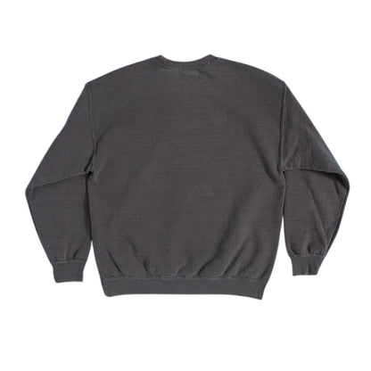 Charcoal - Back - A Goofy Movie Unisex Adult Vintage Wash Sweatshirt