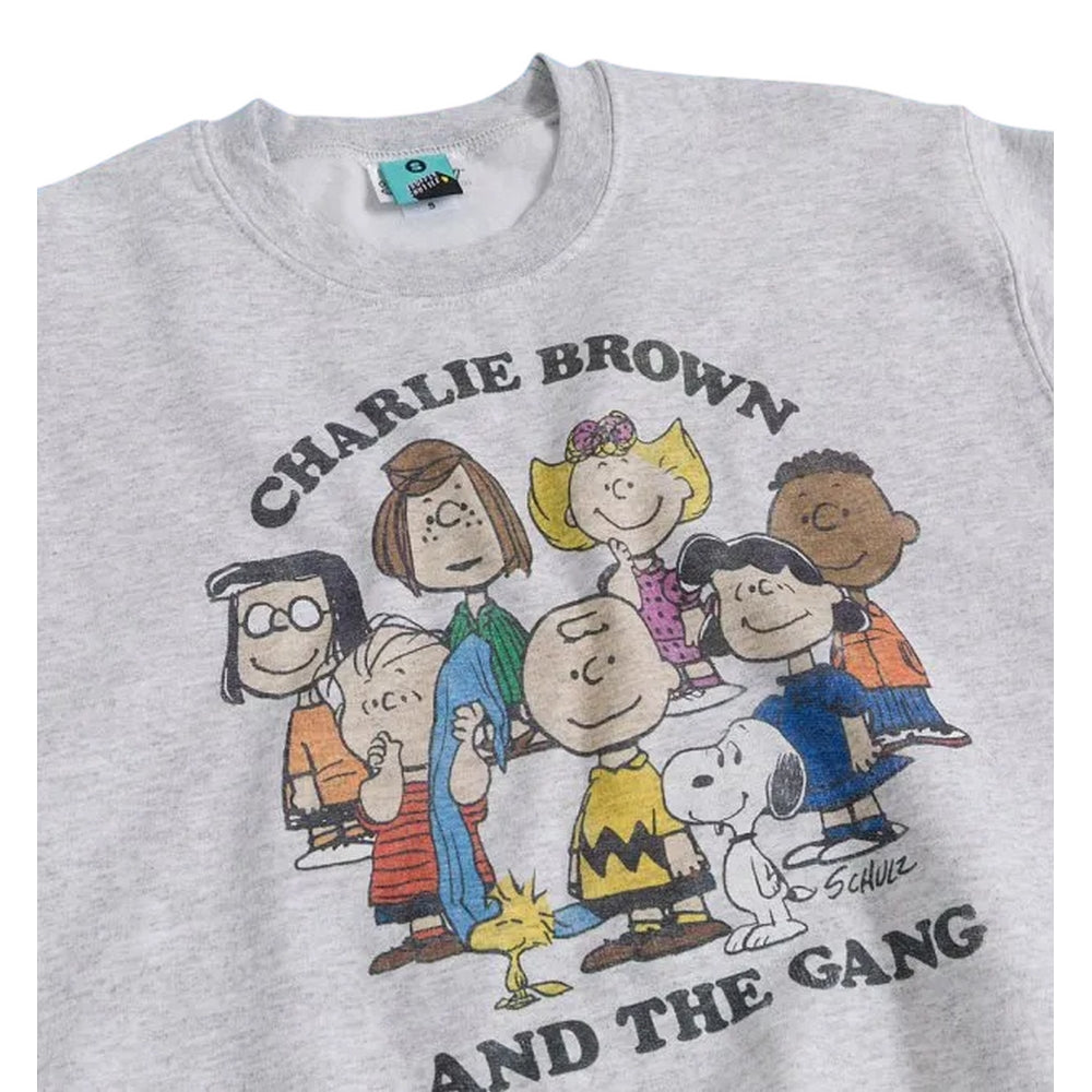 Grey - Side - Peanuts Unisex Adult Charlie And The Gang Sweatshirt