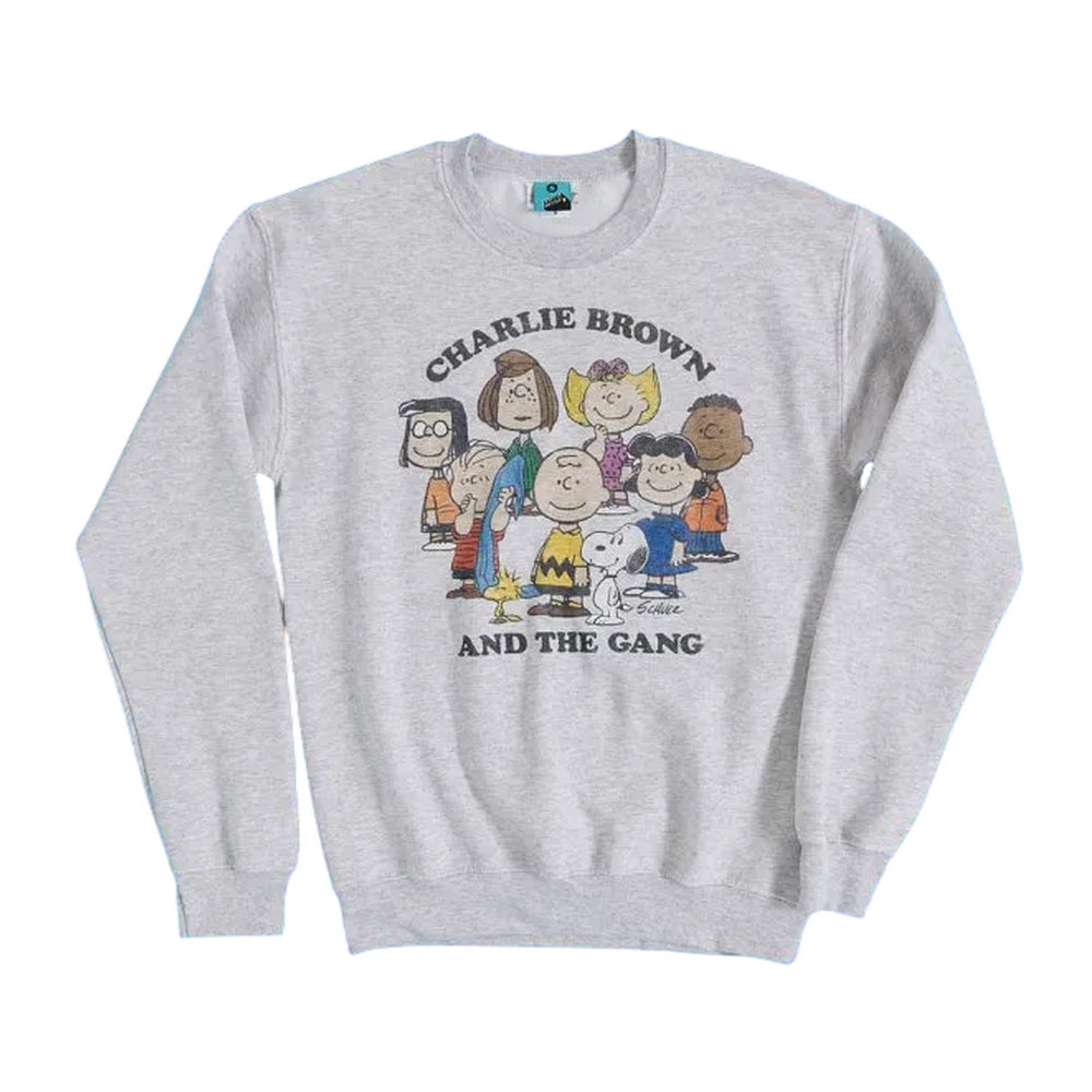 Grey - Front - Peanuts Unisex Adult Charlie And The Gang Sweatshirt