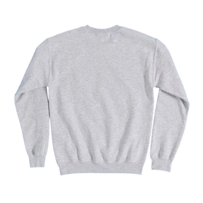 Grey - Back - Peanuts Unisex Adult Charlie And The Gang Sweatshirt