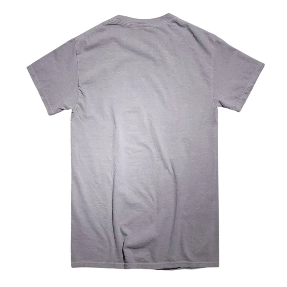 Grey - Back - David Bowie Unisex Adult Aladdin Sane 1973 Vintage Wash T-Shirt