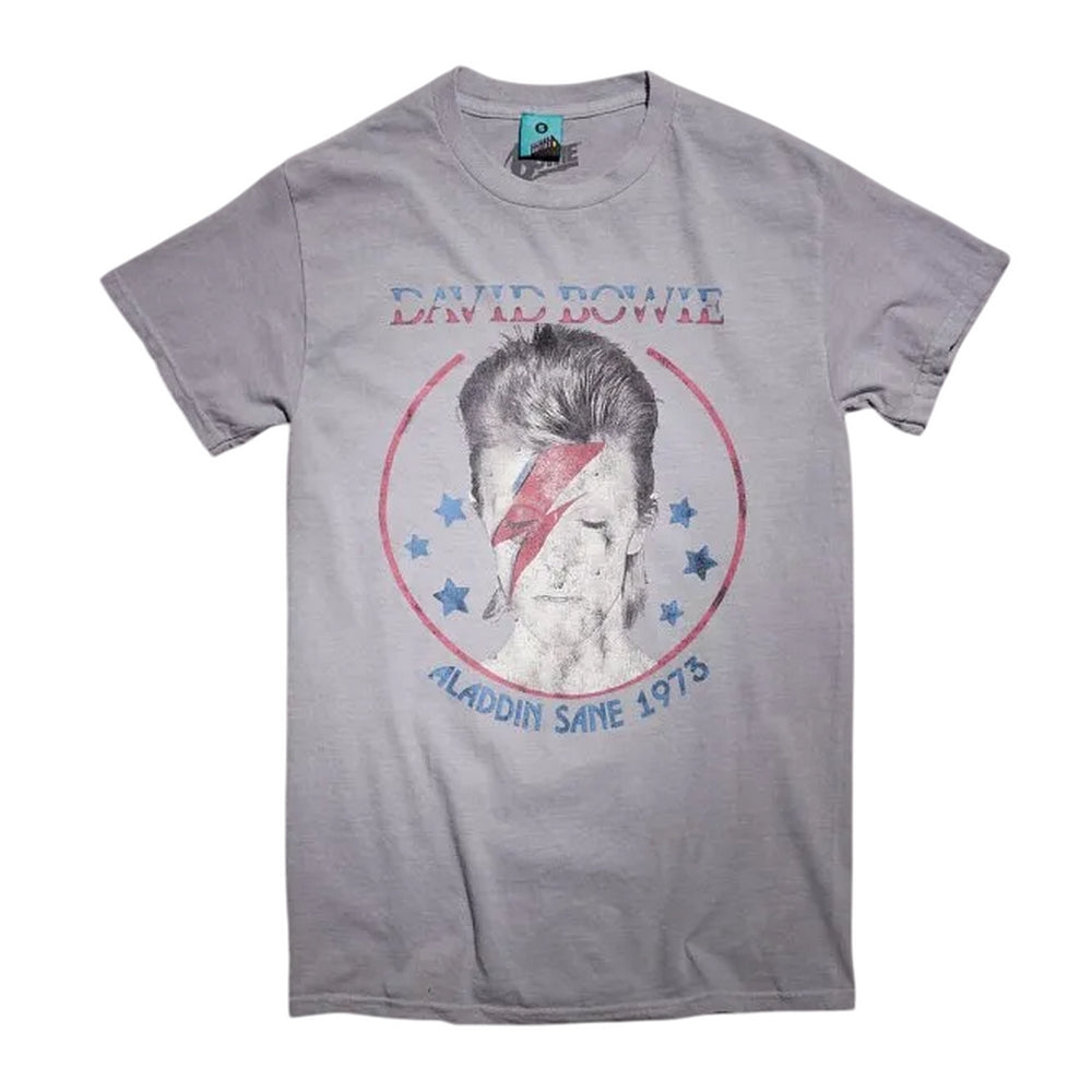 Grey - Front - David Bowie Unisex Adult Aladdin Sane 1973 Vintage Wash T-Shirt