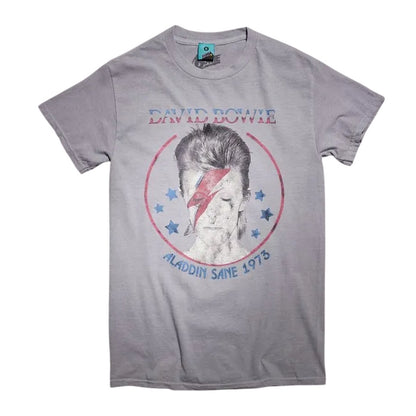 Grey - Front - David Bowie Unisex Adult Aladdin Sane 1973 Vintage Wash T-Shirt