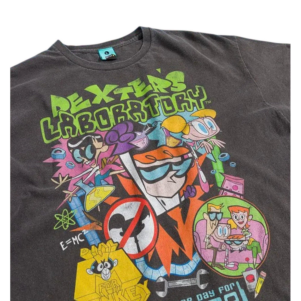Charcoal - Side - Dexters Laboratory Unisex Adult Vintage Wash T-Shirt
