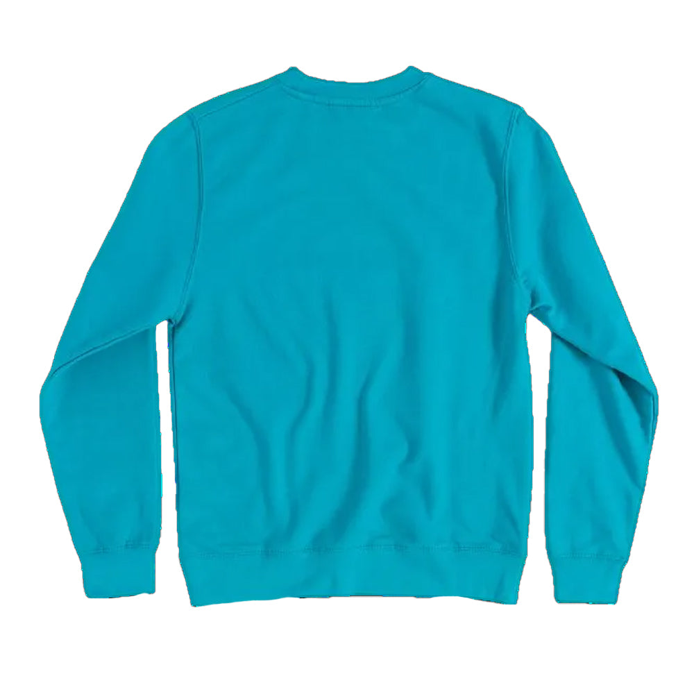 Turquoise - Back - Moomin Unisex Adult Sweatshirt