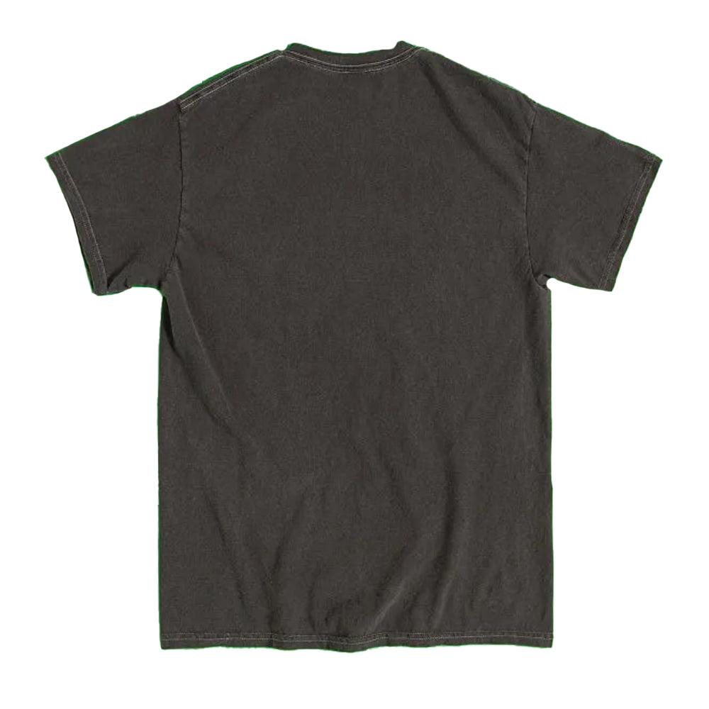 Black-Charcoal - Back - Gremlins 2 Unisex Adult Stripe Vintage Washed T-Shirt